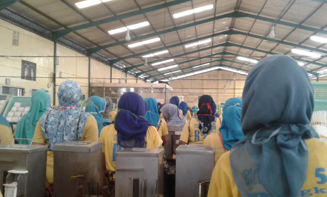 Cek Gaji PT Tegal Jaya Makmur Sejahtera Terbaru 2025