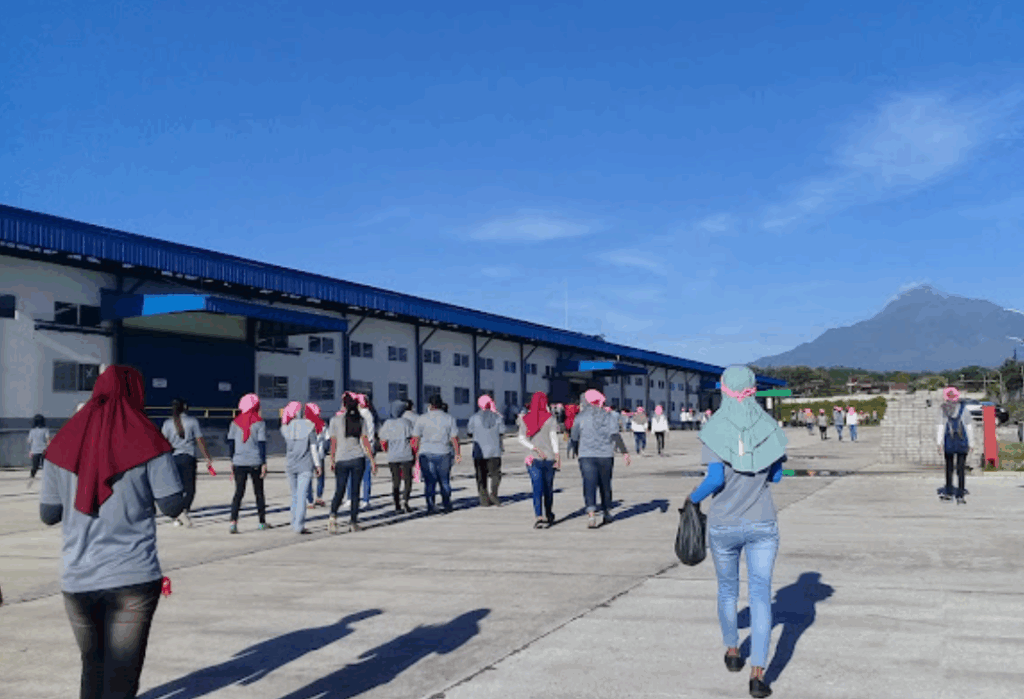 Gaji PT Hansoll Indo Java Terupdate dan Terbaru Semua Posisi dan Jabatan